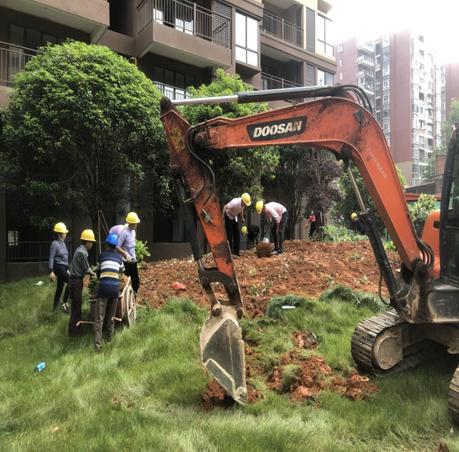 市古鎮(zhèn)投資公司領(lǐng)導(dǎo)檢查指導(dǎo)古鎮(zhèn)天御小區(qū)二期品質(zhì)提升工程項目建設(shè)工作