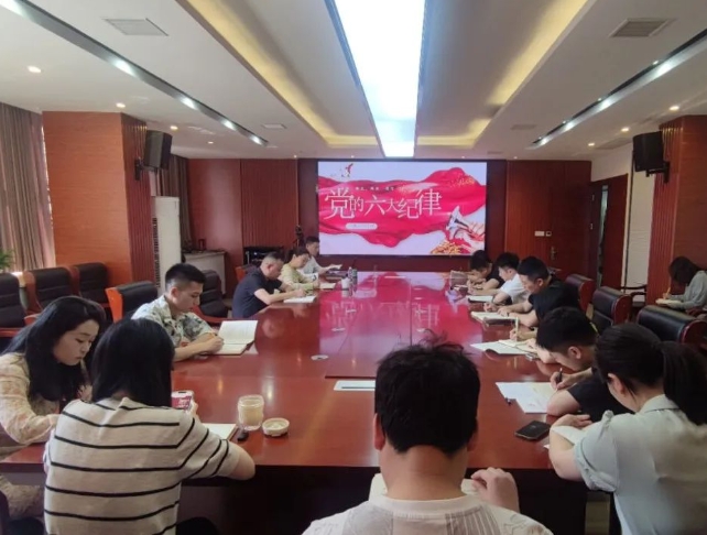 恪守“六大紀律”，筑牢思想根基--市古鎮(zhèn)投資公司行政黨支部組織開展黨記學(xué)習(xí)教育專題黨課